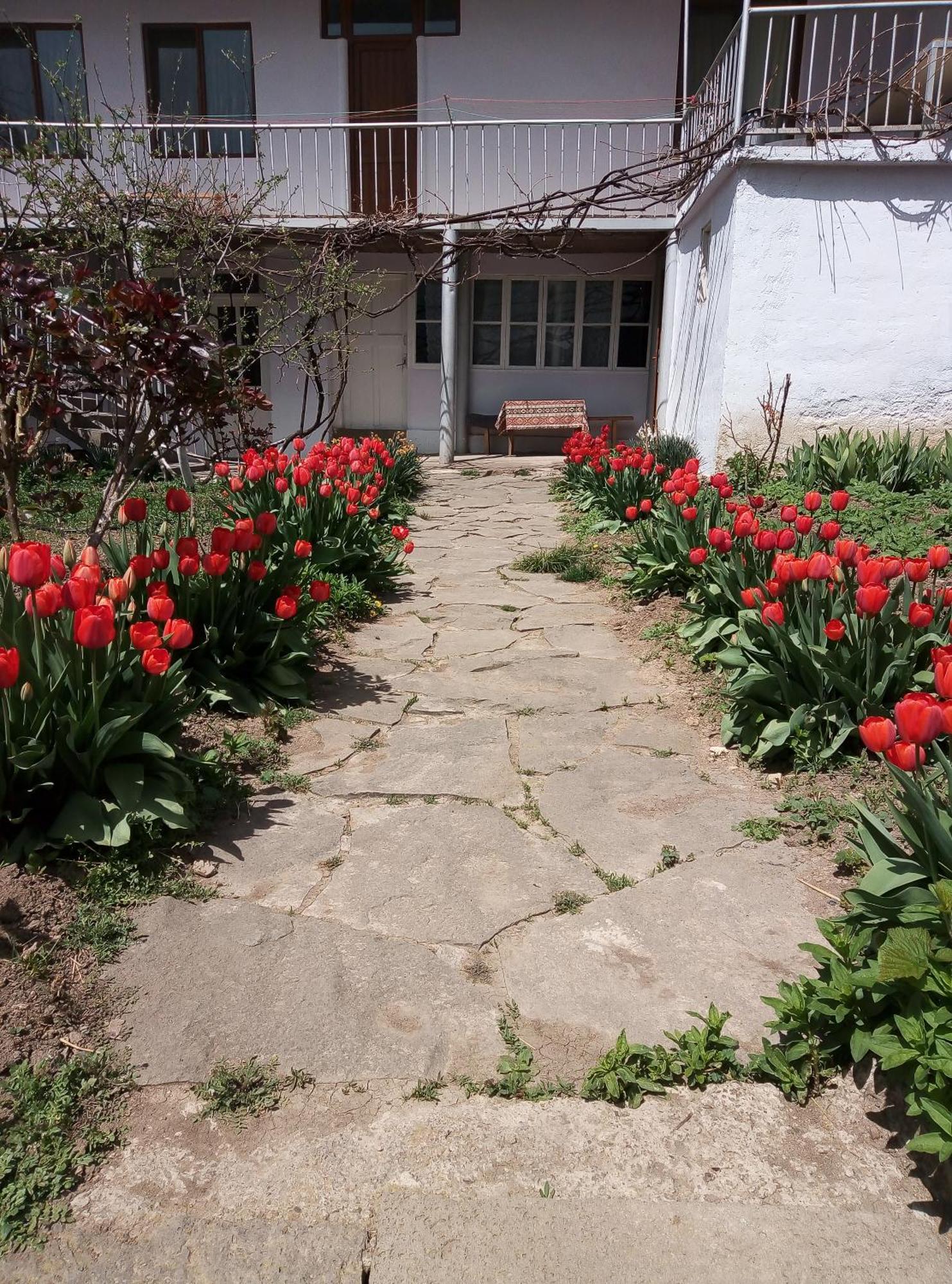Aspet B&B Tatev Zewnętrze zdjęcie