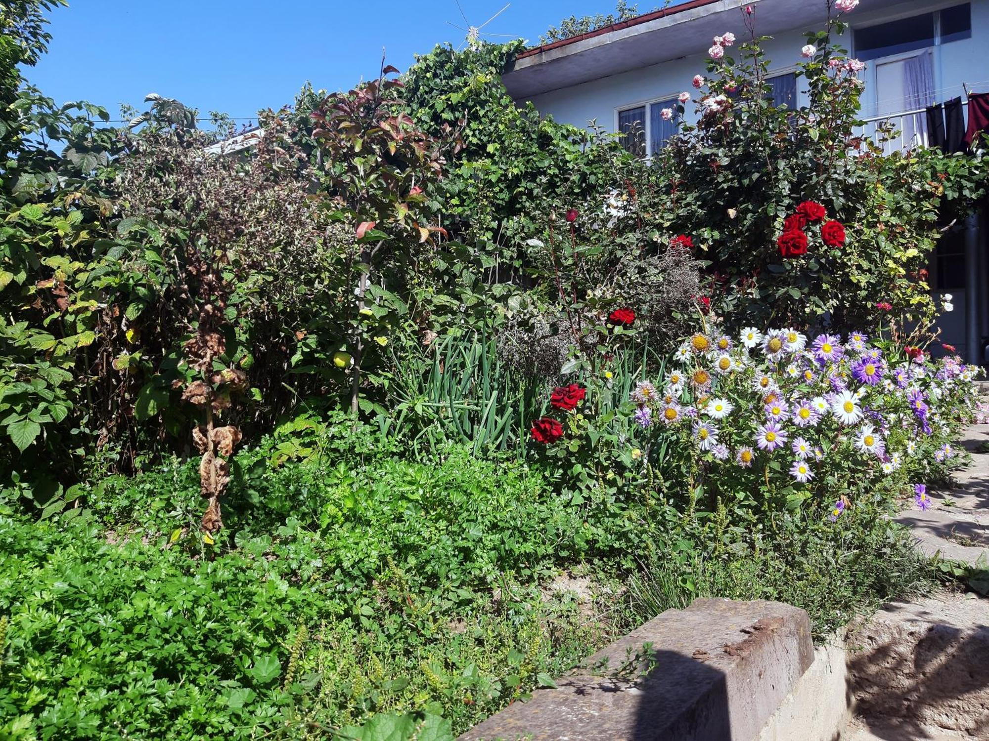 Aspet B&B Tatev Zewnętrze zdjęcie